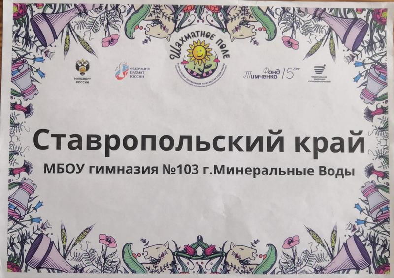Шахматное поле.