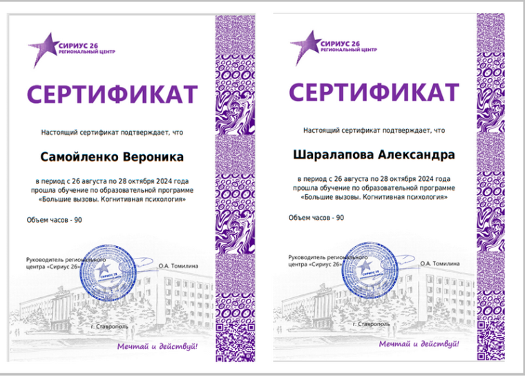 Сириус 26. Когнитивная психология..